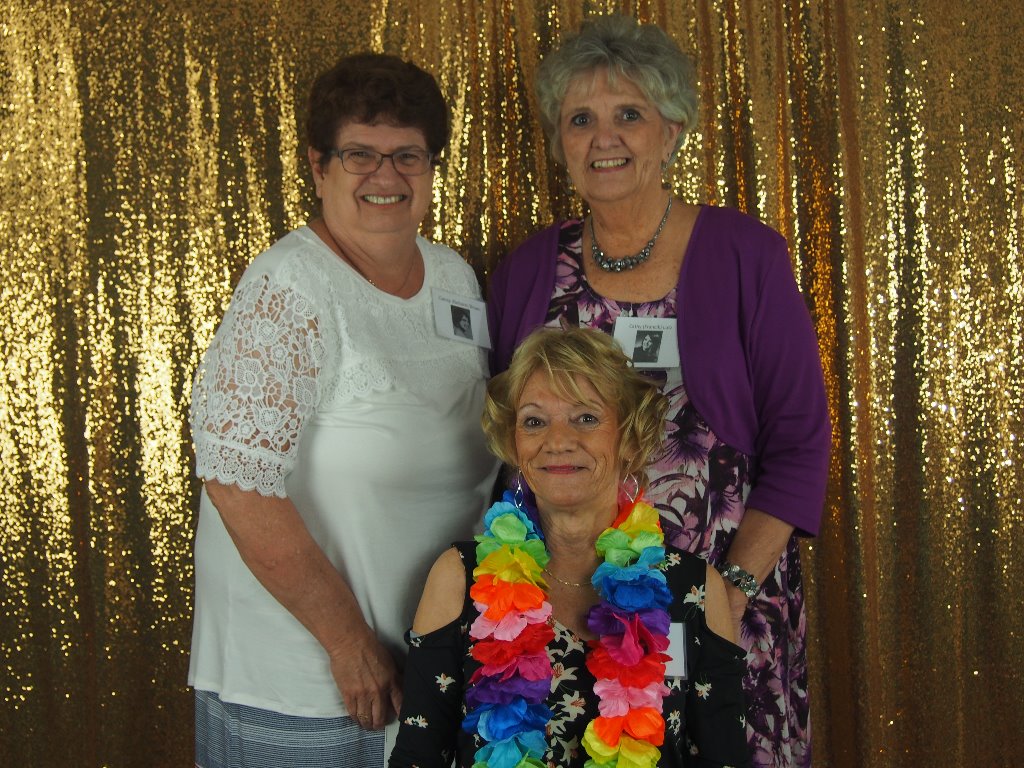 Candy Bellaire Brown, Cathy Francik Lutz, and Diane Kiebach Young